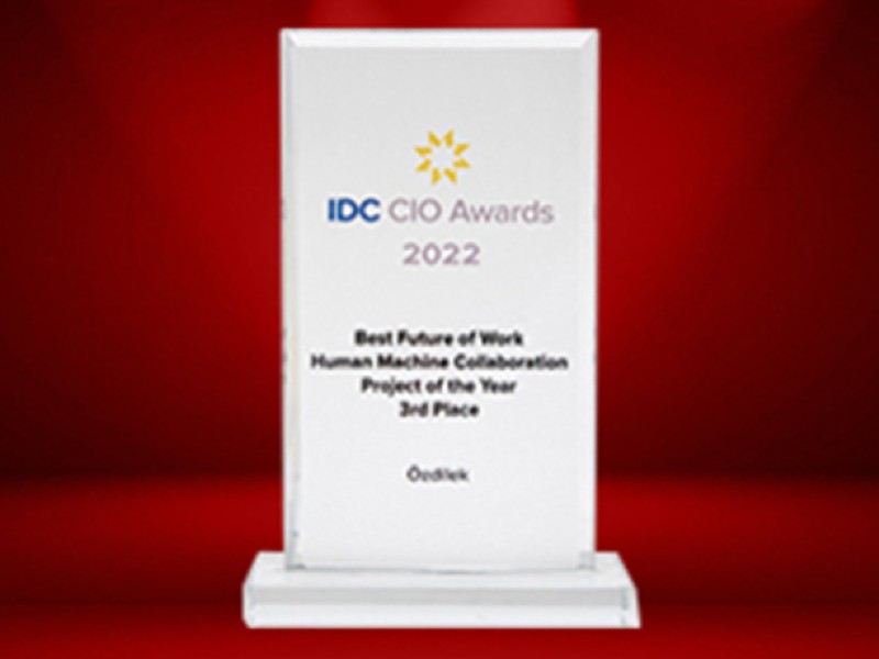 ---Promising Project of the Year Award